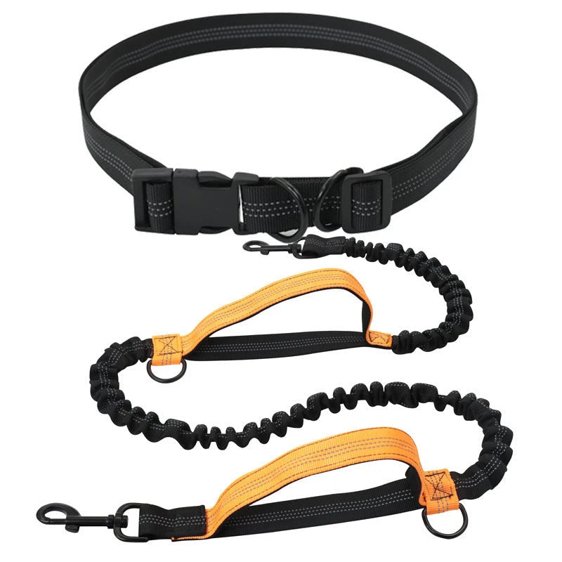 Hands Free Retractable Dog Leash