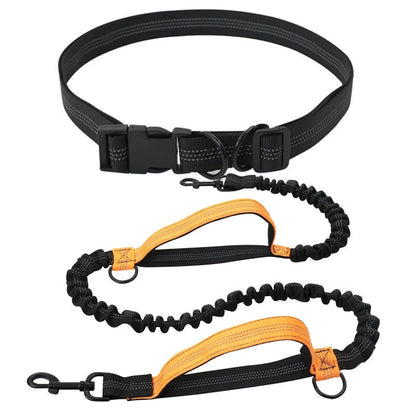 Hands Free Retractable Dog Leash