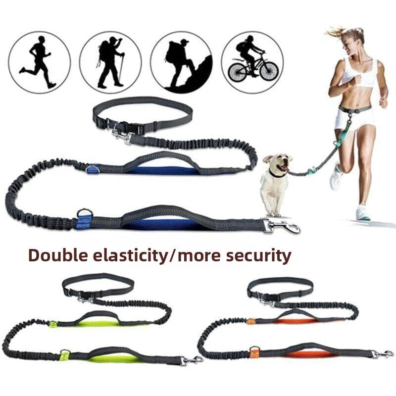 Hands Free Retractable Dog Leash