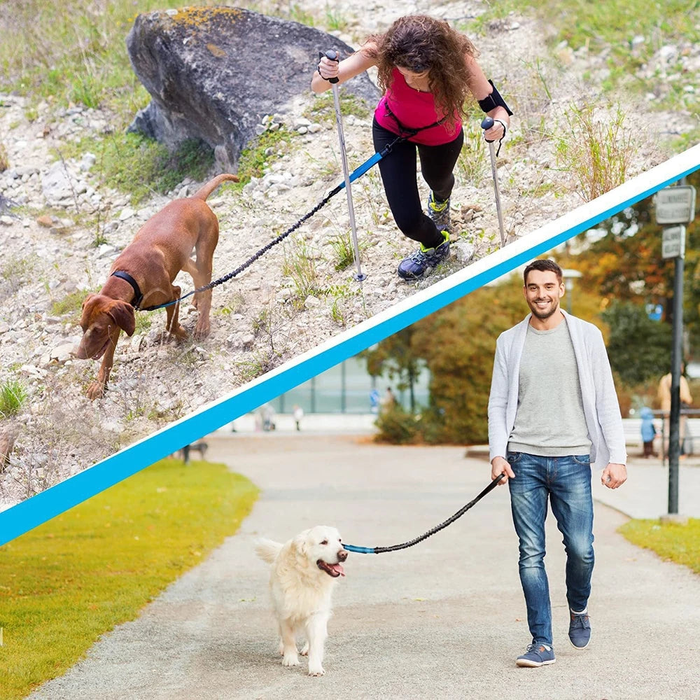 Hands Free Retractable Dog Leash