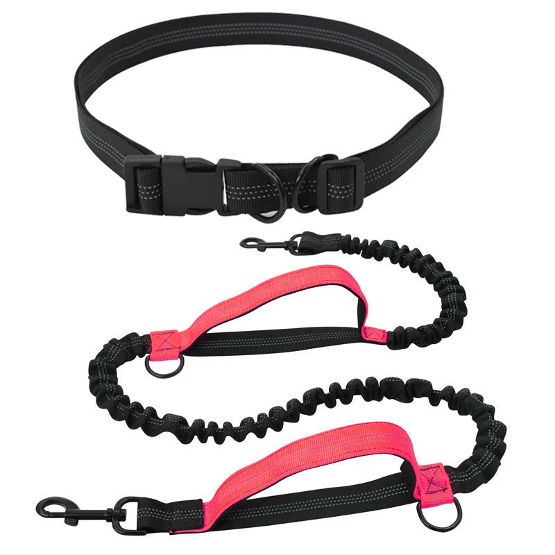 Hands Free Retractable Dog Leash
