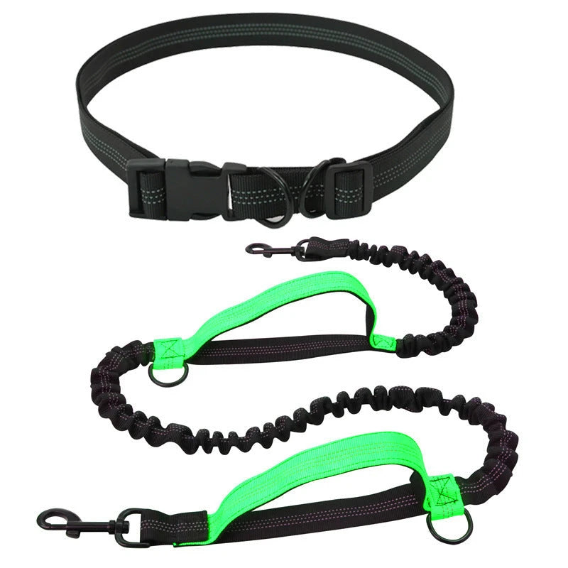 Hands Free Retractable Dog Leash