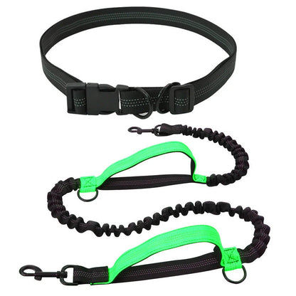 Hands Free Retractable Dog Leash
