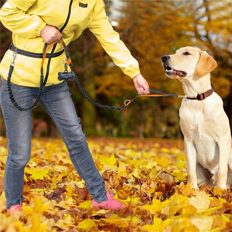 Hands Free Retractable Dog Leash