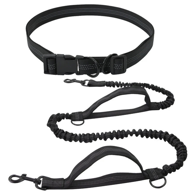 Hands Free Retractable Dog Leash