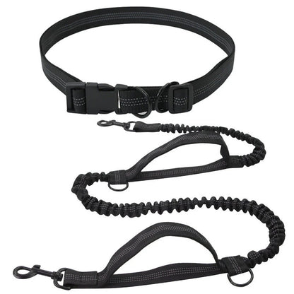 Hands Free Retractable Dog Leash
