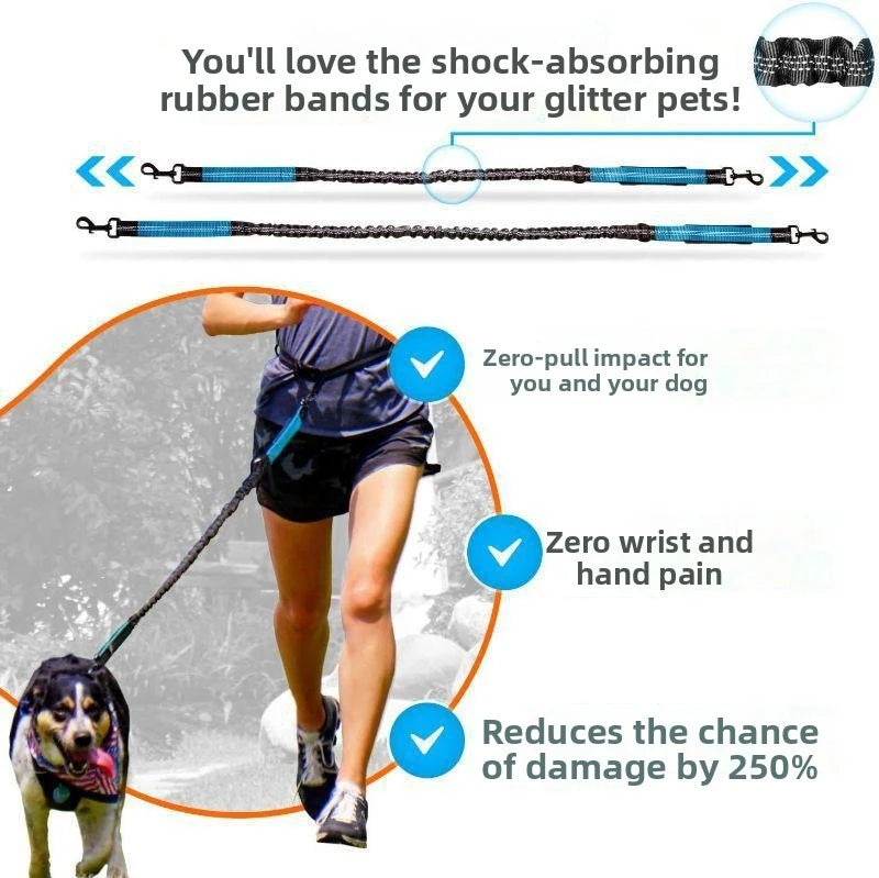 Hands Free Retractable Dog Leash