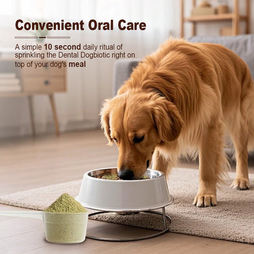 Dog Oral Care Probiotic Supplement